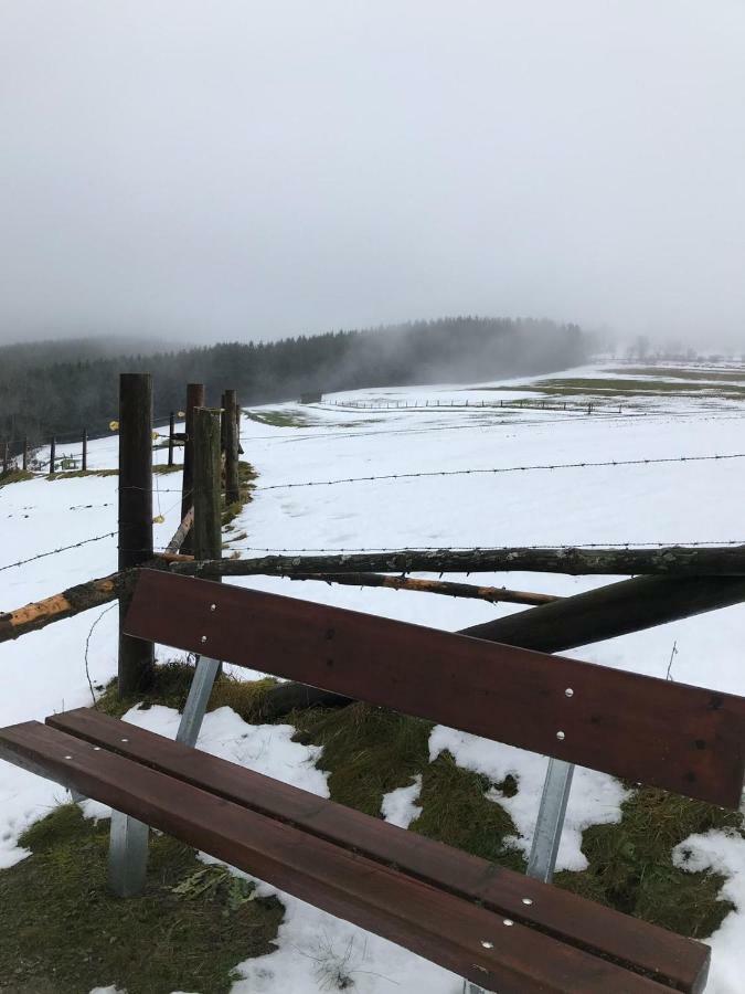 Ferienhaus Schneeweiss Winterberg Eksteriør billede