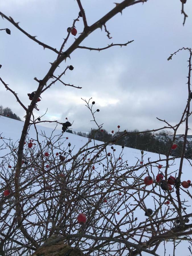 Ferienhaus Schneeweiss Winterberg Eksteriør billede