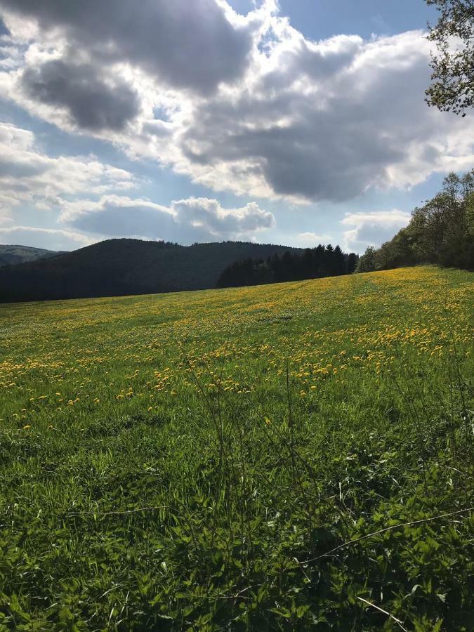 Ferienhaus Schneeweiss Winterberg Eksteriør billede