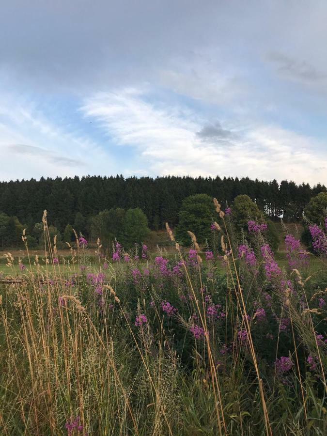 Ferienhaus Schneeweiss Winterberg Eksteriør billede